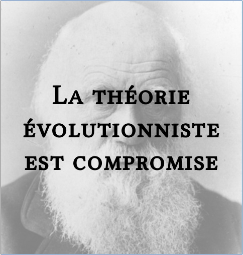 la_theorie_evolutionniste_est_compromise_darwin